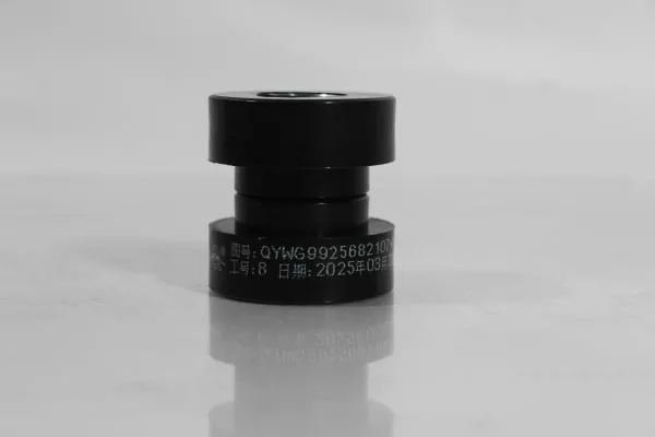 Сайлентблок торсиона кабины (Rear) SITRAK, T5G