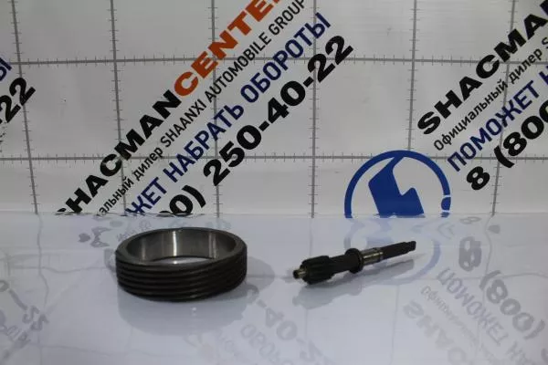 Вал шестерни привода спидометра + шестерня  (LF5/LF5 ) SHAANXI.