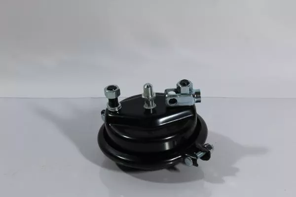 Камера тормозная (FL) SITRAK, T5G