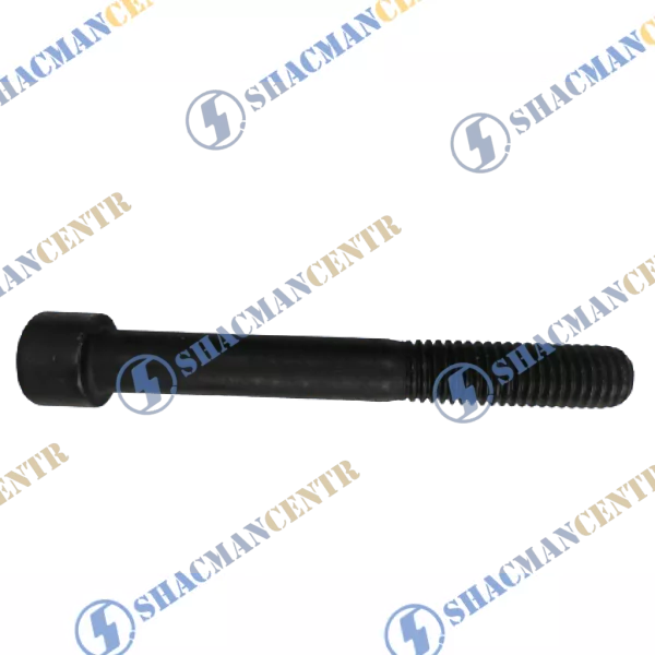 Болт крепления ТНВД D10, L80, (под шестигранник) HOWO
