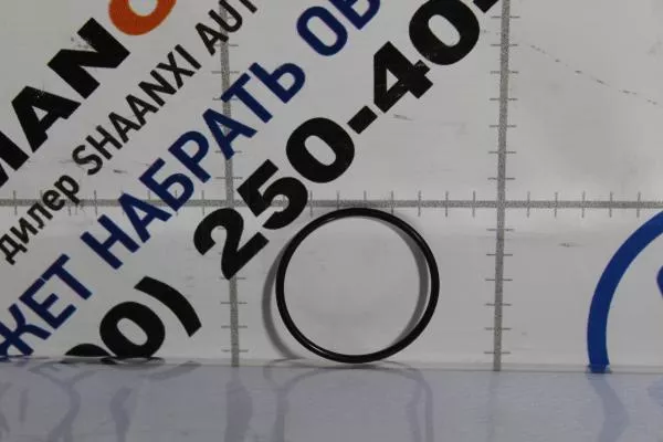 Кольцо уплотнительное термостата SHAANXI, WP13