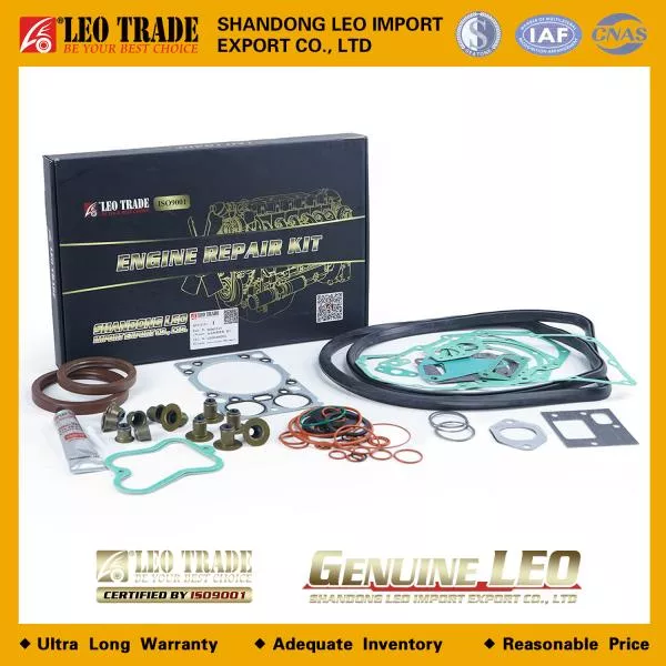 Ремкомплект двигателя LEO TRADE, Евро-2, WD615, (LEO100028A)
