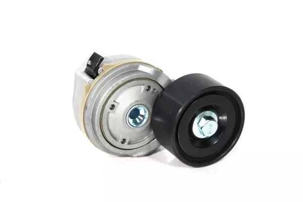 Ролик натяжитель ремня (однорядный подш.) SITRAK, T5G, (092V95800-7478)