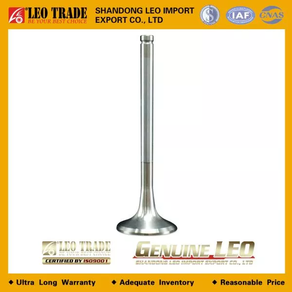 Клапан выпускной D50, LEO TRADE, WD615, WP10, D10, (LEO100409A, VG1560050041)