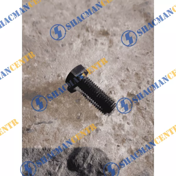 Болт ТНВД под шестигранник D10, L30, HOWO