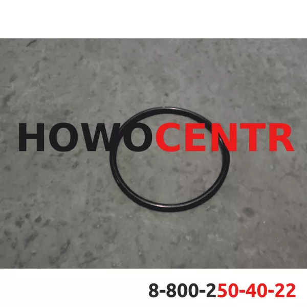 Кольцо уплотнительное шкворня 6*6 SHAANXI