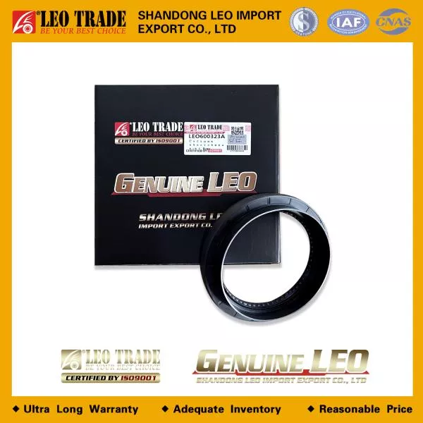 Сальник редуктора среднего моста D125, H14, (Front, 95*125*14) LEO TRADE, J6, (LEO600323A)