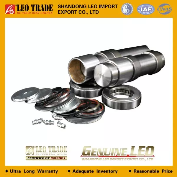 Ремкомплект шкворней D54, L232, LEO TRADE, F3000, (LEO600020A)