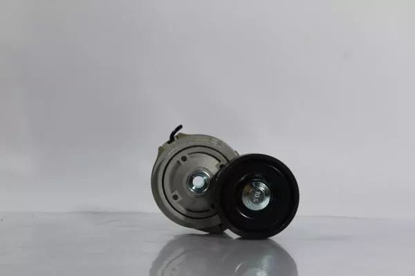 Ролик натяжитель ремня (однорядный подш.) SITRAK, T5G, (092V95800-7478)