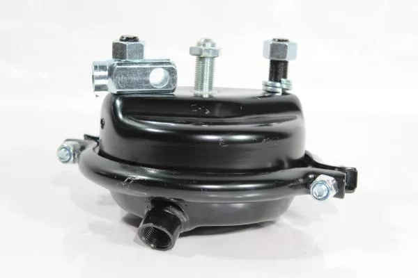 Камера тормозная (FL) SITRAK, T5G