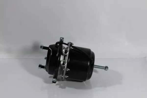 Камера тормозная (RL) SITRAK, T5G