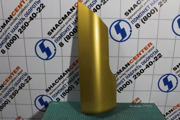 Крышка декоративная зеркала заднего вида (R, Золотой) SHAANXI, X3000