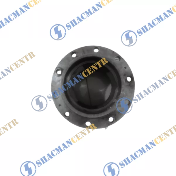 Ступица заднего моста