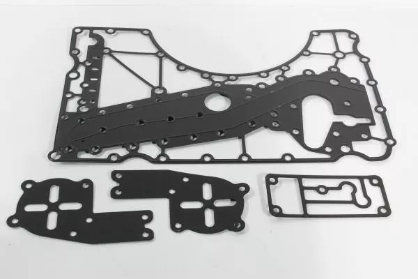 Ремкомплект прокладок ретардера SHAANXI, FHB400