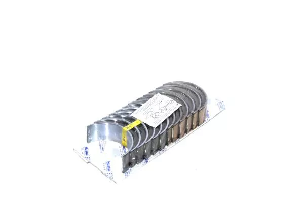 Вкладыши шатунные (ремонтые 0,25) HOWO, WD615, WP10