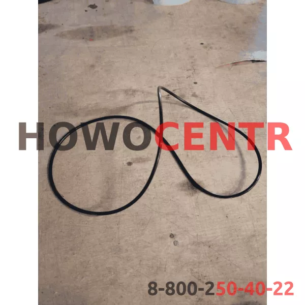 Уплотнительное кольцо переднего моста SH D200 (Черный, Резина) SHAANXI