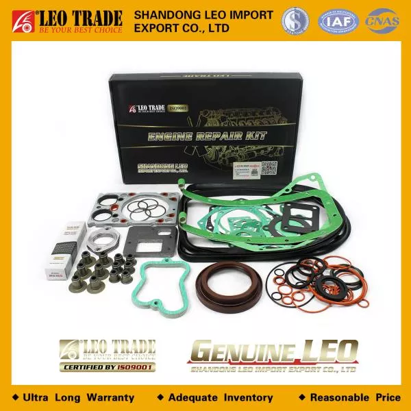 Ремкомплект двигателя WP10, Евро 2 LEO TRADE, (LEO100030A)