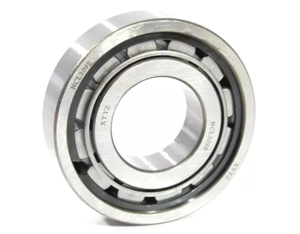 Подшипник роликовый цилиндрический без канавки D100, H25, (не разборный ) FULLER