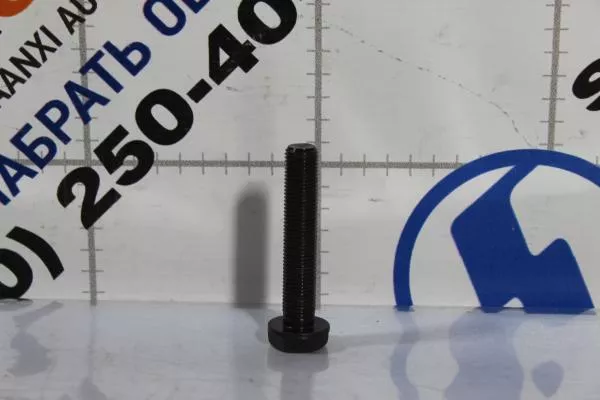 Болт маховика (креплени к коленвалу) WEICHAI, WP10.336E53