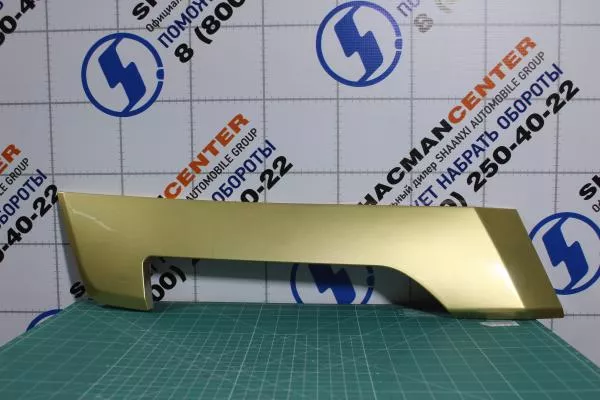 Капот (Золотой, с накладками) SHAANXI, X5000