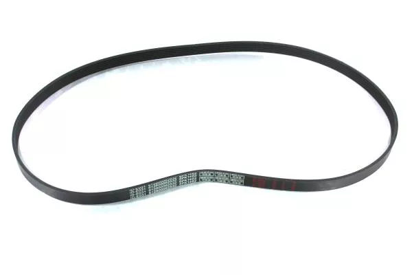 Ремень ручейковый (6PK1462) SHAANXI, WP13