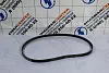 Ремень ручейковый (6PK1443 генератора) WEICHAI, WP12, WP13 для грузовиков *