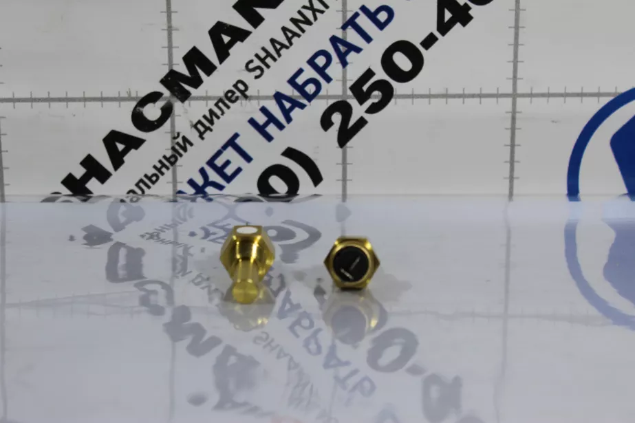 Датчик температуры охлаждающей жидкости FAW, J6, (3602160-59D) для грузовиков *