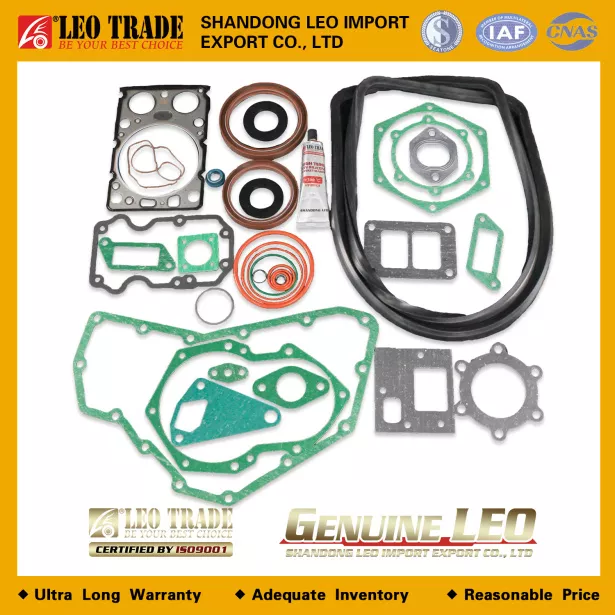 Ремкомплект двигателя LEO TRADE, Евро-3, WD615, (LEO100029A) для грузовиков *
