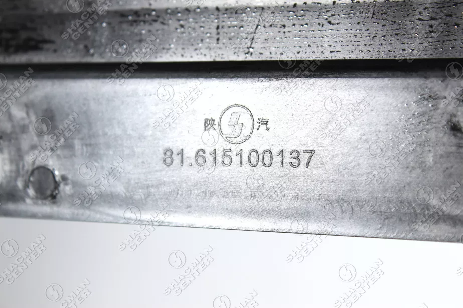 Накладка порога кабины (L/R) SHAANXI, F2000 для грузовиков *