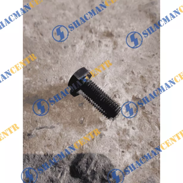 Болт ТНВД под шестигранник D10, L30, HOWO для грузовиков *