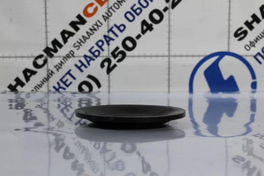 Шайба подушки (19/20) ДВС F3000 (Rear, Металл) SHAANXI, F3000 для грузовиков *