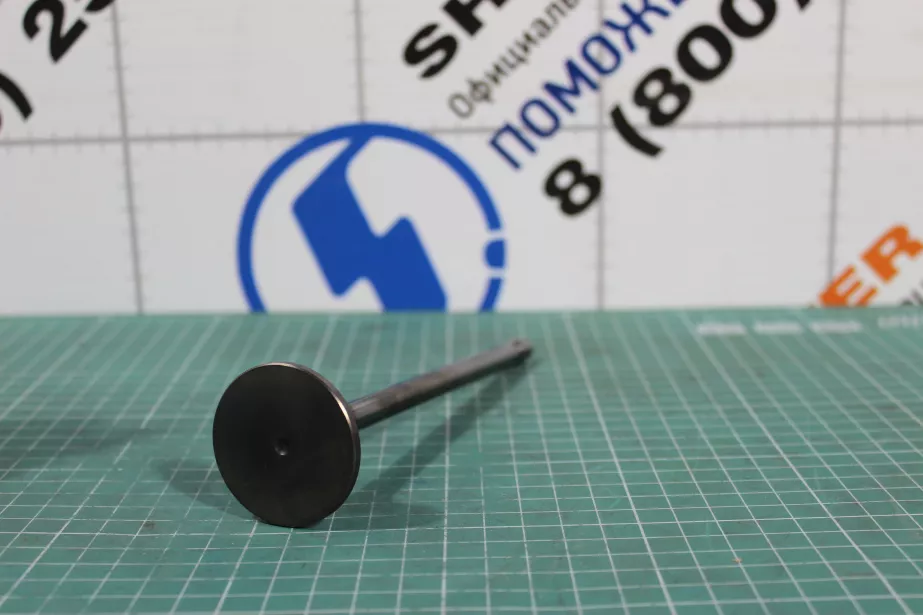 Клапан впускной WEICHAI, WP13, (1001377941) для грузовиков *