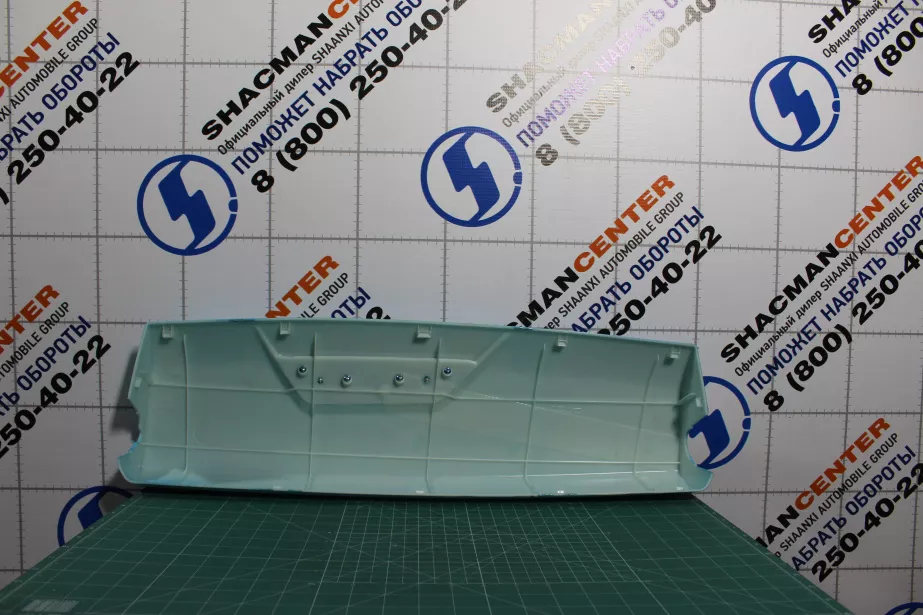 Крышка декоративная зеркала заднего вида (L, Голубой) SHAANXI, X5000 для грузовиков *