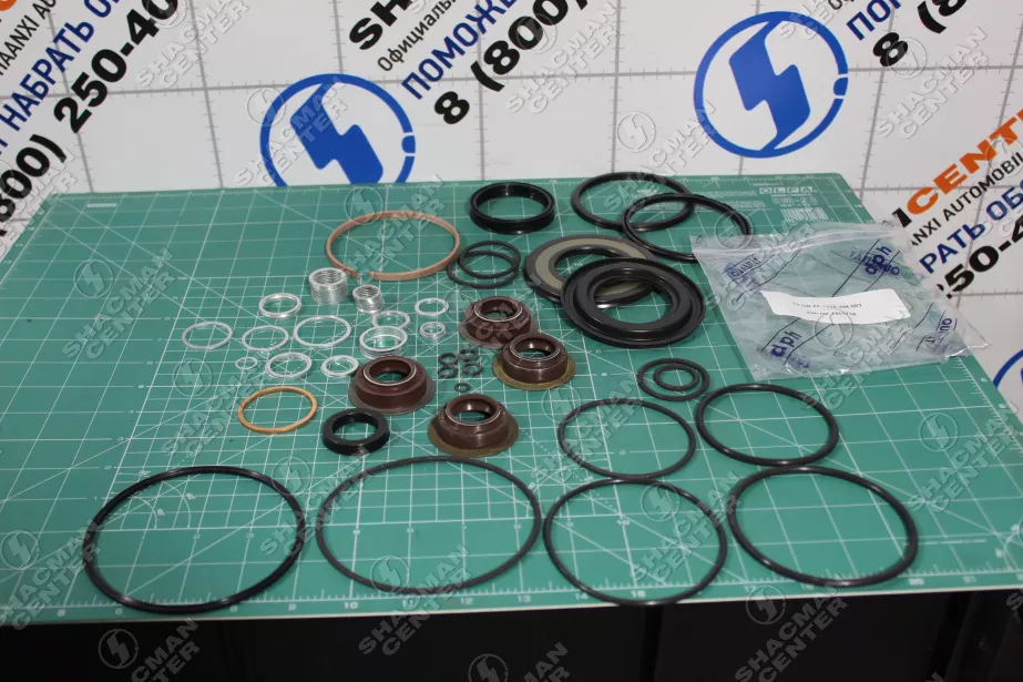 Комплект сальников SHAANXI, ZF, (1315298003) для грузовиков *