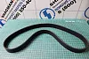Ремень ручейковый (8PK1143 вентилятора) AUTOMAX, ISM11, (AM1209) для грузовиков *