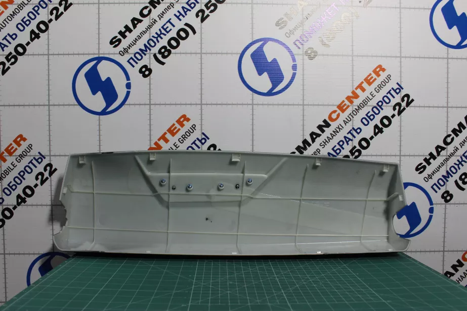 Крышка декоративная зеркала заднего вида (L, Серый) SHAANXI, X5000 для грузовиков *