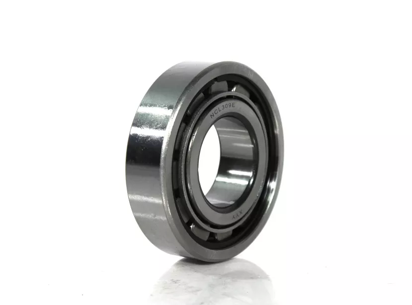 Подшипник роликовый цилиндрический без канавки D100, H25, (не разборный ) FULLER для грузовиков *