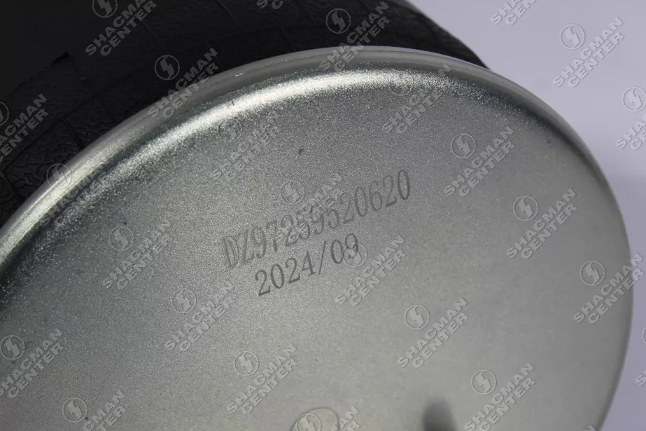 Пневморессора (Rear) SHAANXI, X6000 для грузовиков *