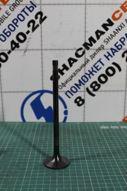 Клапан впускной WEICHAI, WP13, (1001377941) для грузовиков *