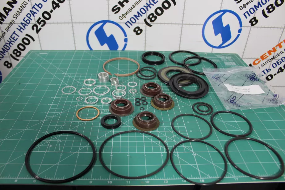 Комплект сальников SHAANXI, ZF, (1315298003) для грузовиков *