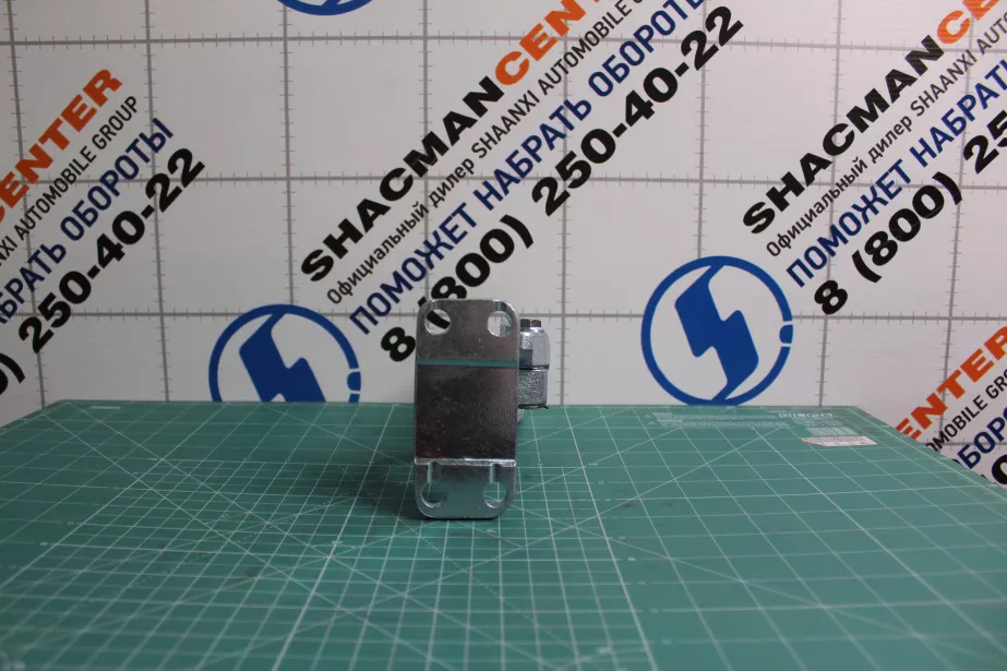 Петля двери (L, верхняя) SHAANXI, X3000, X5000 для грузовиков *