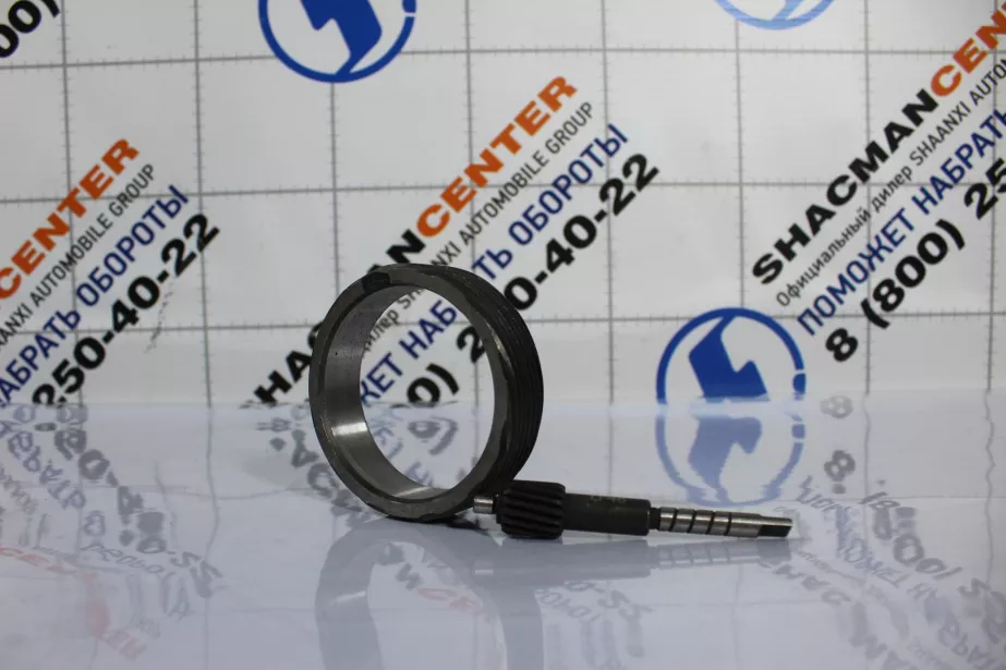 Вал шестерни привода спидометра + шестерня  (LF48) SHAANXI, (LF48-3802034) для грузовиков *