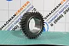 Шестерня передачи 35RD 34 T SHAANXI, ZF, (195531521K) для грузовиков *