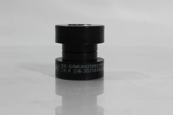 Сайлентблок торсиона кабины (Rear) SITRAK, T5G