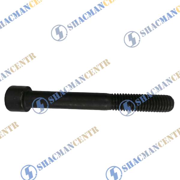 Болт крепления ТНВД D10, L80, (под шестигранник) HOWO