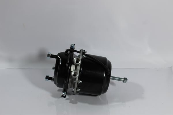 Камера тормозная (RL) SITRAK, T5G