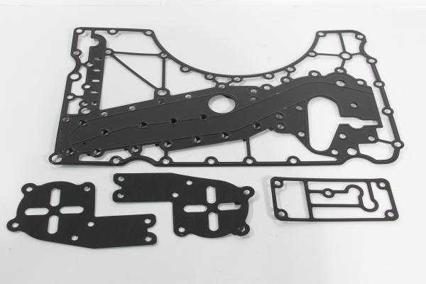 Ремкомплект прокладок ретардера SHAANXI, FHB400