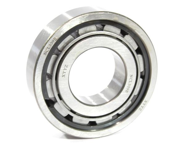 Подшипник роликовый цилиндрический без канавки D100, H25, (не разборный ) FULLER