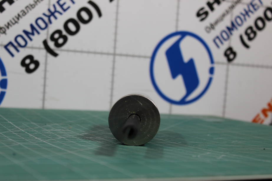 Ось шестерни заднего хода (Металл, в сборе со штифтами ) SHAANXI, ZF, (1315305009, 202302100481) для грузовиков *